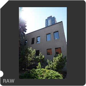 Nikon Z 7II Camera with Nikkor Z 14-24mm f/2.8 S. Examples of RAW files