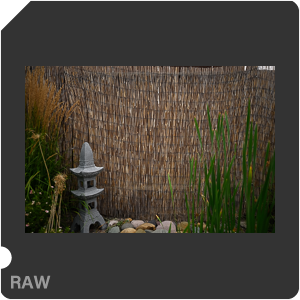 Nikon Z 7II Camera with Nikkor Z 14-24mm f/2.8 S. Examples of RAW files