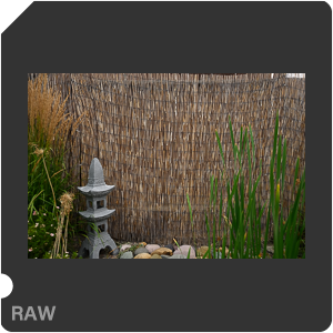 Nikon Z 7II Camera with Nikkor Z 14-24mm f/2.8 S. Examples of RAW files