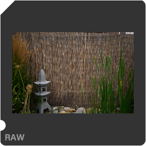 Nikon Z 7II Camera with Nikkor Z 14-24mm f/2.8 S. Examples of RAW files