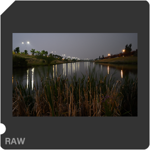 Nikon Z 7II Camera with Nikkor Z 14-24mm f/2.8 S. Examples of RAW files