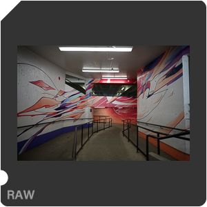 Nikon Z 7II Camera with Nikkor Z 14-24mm f/2.8 S. Examples of RAW files