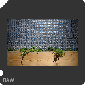 Nikon Z 7II Camera with Nikkor Z 14-24mm f/2.8 S. Examples of RAW files