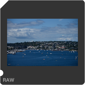 Камера Nikon Z 7 с объективом Nikkor Z 24-120mm f/4 S. Примеры RAW файлов