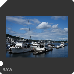 Камера Nikon Z 7 с объективом Nikkor Z 24-120mm f/4 S. Примеры RAW файлов