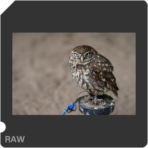 Камера Nikon D5 с объективом AF-S Nikkor 85 mm f/1.8G. Примеры RAW файлов