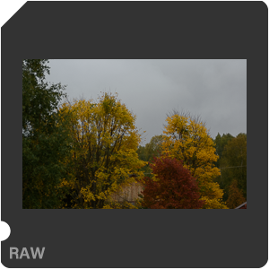 Камера Nikon D5600 с объективом AF Zoom-Nikkor 28-105mm f/3.5-4.5D IF. Примеры RAW файлов