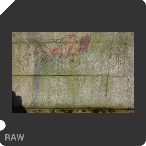 Nikon Z 50 with AF-S DX VR Zoom-Nikkor 18-200mm f/3.5-5.6G IF-ED. Examples of RAW files