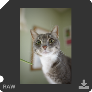 Камера Nikon D с объективом AF-S Nikkor 28 mm f/1.4E ED. Примеры RAW файлов