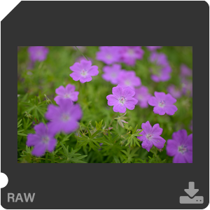 Камера Nikon D с объективом AF-S Nikkor 28 mm f/1.4E ED. Примеры RAW файлов