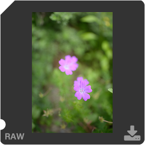 Камера Nikon D с объективом AF-S Nikkor 28 mm f/1.4E ED. Примеры RAW файлов