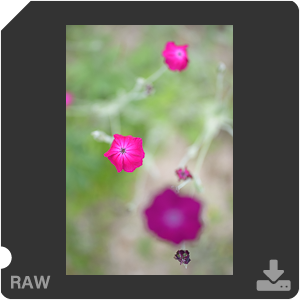 Камера Nikon D с объективом AF-S Nikkor 28 mm f/1.4E ED. Примеры RAW файлов