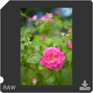 Камера Nikon D с объективом AF-S Nikkor 28 mm f/1.4E ED. Примеры RAW файлов