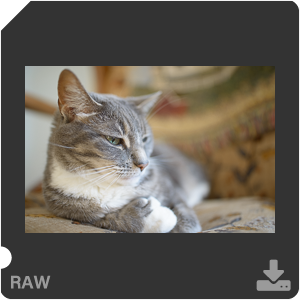 Камера Nikon D с объективом AF-S Nikkor 28 mm f/1.4E ED. Примеры RAW файлов