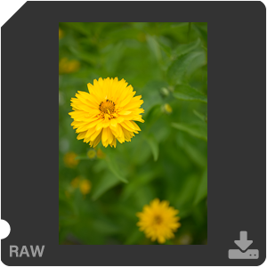 Камера Nikon D с объективом AF-S Nikkor 28 mm f/1.4E ED. Примеры RAW файлов