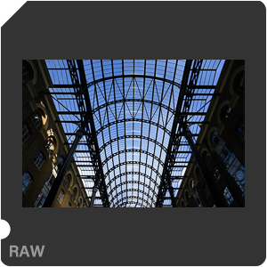 Камера Nikon Z 6 с объективом Nikkor Z 24-70mm f/4 S. Примеры RAW файлов