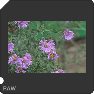 Nikon 1 V1 Camera with Upiter-36 250mm f/3.5. Examples of RAW files