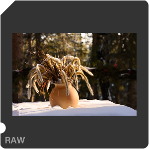 RAW sample