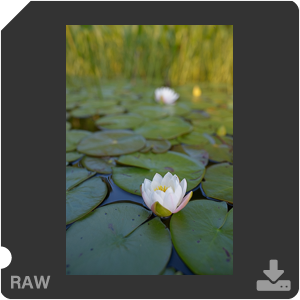 Камера Nikon D с объективом AF-S Nikkor 28 mm f/1.4E ED. Примеры RAW файлов