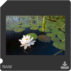 Камера Nikon D с объективом AF-S Nikkor 28 mm f/1.4E ED. Примеры RAW файлов