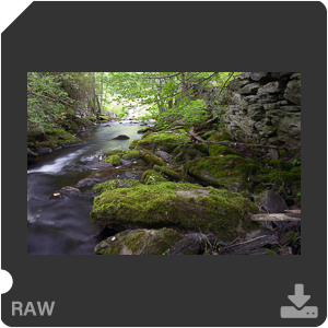 Камера Nikon D с объективом AF-S Nikkor 28 mm f/1.4E ED. Примеры RAW файлов