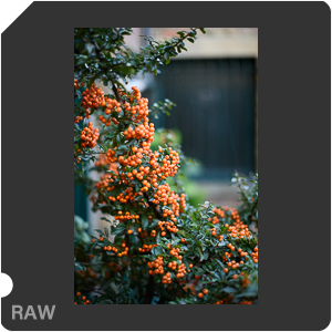 Камера Nikon Df с объективом AF-S Nikkor 85 mm f/1.8G. Примеры RAW файлов