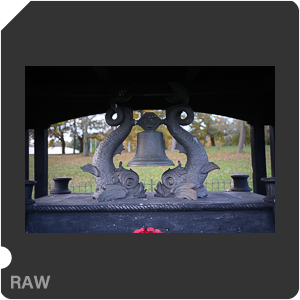 Nikon Z f Camera with Nikkor Z 40mm f/2.0. Examples of RAW files