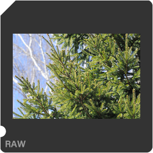 RAW sample