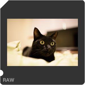 Камера Nikon D810 с объективом AF-S Nikkor 28 mm f/1.4E ED. Примеры RAW файлов