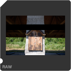 Камера Nikon D810 с объективом AF-S Nikkor 28 mm f/1.4E ED. Примеры RAW файлов