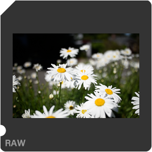 Камера Nikon D810 с объективом AF-S Nikkor 28 mm f/1.4E ED. Примеры RAW файлов