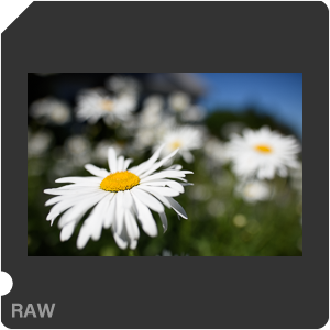 Камера Nikon D810 с объективом AF-S Nikkor 28 mm f/1.4E ED. Примеры RAW файлов