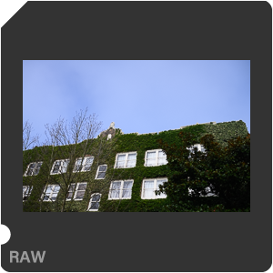 RAW sample