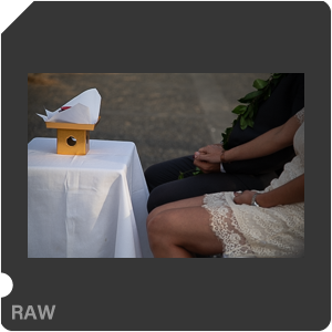 RAW sample