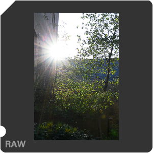 Камера Nikon Z 6 с объективом Nikkor Z 24-70mm f/4 S. Примеры RAW файлов