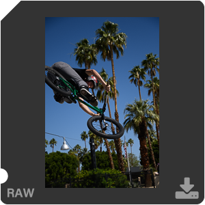 Камера Nikon D500 с объективом AF-S DX Nikkor 16-80mm f/2.8-4E ED VR. Примеры RAW файлов