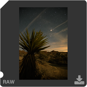 Камера Nikon D500 с объективом AF-S DX Nikkor 16-80mm f/2.8-4E ED VR. Примеры RAW файлов