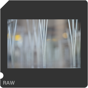 RAW sample