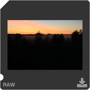 Камера Nikon Z 6II с объективом Nikkor Z 24-70mm f/4 S. Примеры RAW файлов