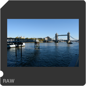 Камера Nikon D3500 с объективом AF-P DX Nikkor 18-55mm F/3.5-5.6G VR. Примеры RAW файлов