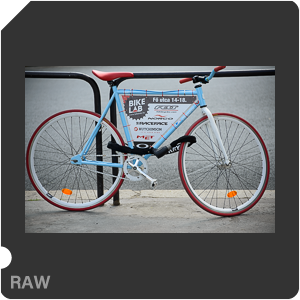 Nikon D800 с объектив AF-S VR Zoom-Nikkor 70-300mm f/4.5-5.6G IF-ED. Примеры RAW файлов