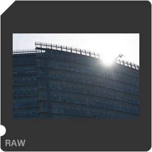 RAW sample