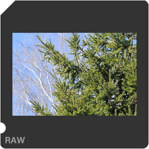 RAW sample