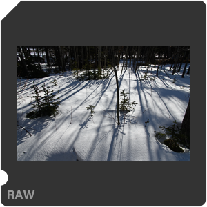 RAW sample