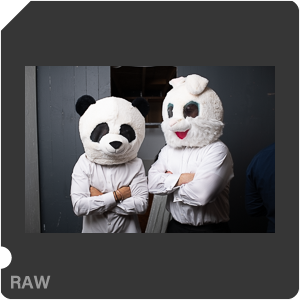 RAW sample