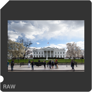 Nikon D5600 + AF-S Nikkor 20mm f/1.8G ED. Примеры RAW файлов