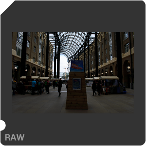 Камера Nikon D3400 с объективом AF-P DX Nikkor 18-55mm f/3.5-5.6G. Примеры RAW файлов