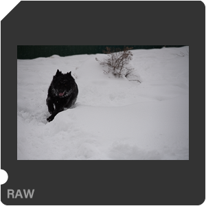 Камера Nikon Z 7 с объективом Nikkor Z 24-120mm f/4 S. Примеры RAW файлов