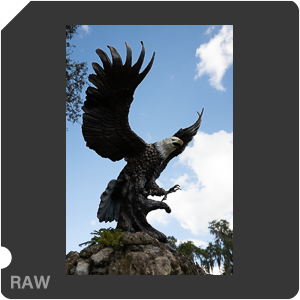 Nikon Z 8 + Nikkor Z 24-70mm f/2.8 S II. Examples of RAW files