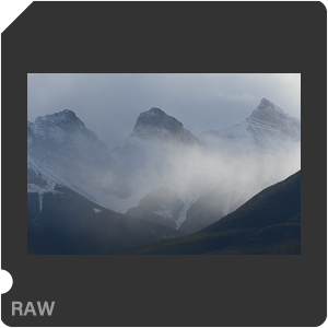 Камера Nikon D с объективом AF-S VR Zoom-Nikkor 70-200mm f/2.8G IF-ED. Примеры RAW файлов